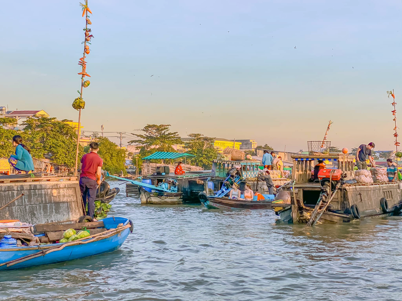 private car hire to mekong delta